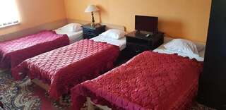 Мотели Rooms noclegi Bytyń Большой двухместный номер с 1 кроватью или 2 отдельными кроватями-7